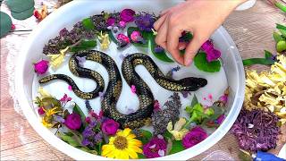 DIY RESIN ART You’ve Never Seen Before! 🌸✨ Anyone Can Make This