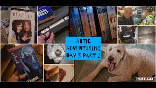 Attic Sorting Day 3 Part 2.... oh the movies!!!