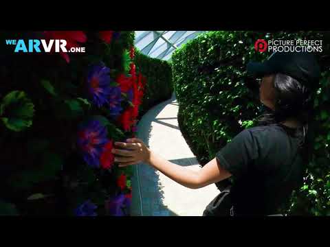 Singapore Changi Jewel Hybrid 360 video