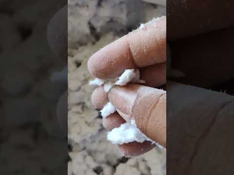 Cellulose Fibre