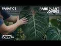 Inside One Of America S Largest Rare Plant Collections FANATICS IN THE DEEP END