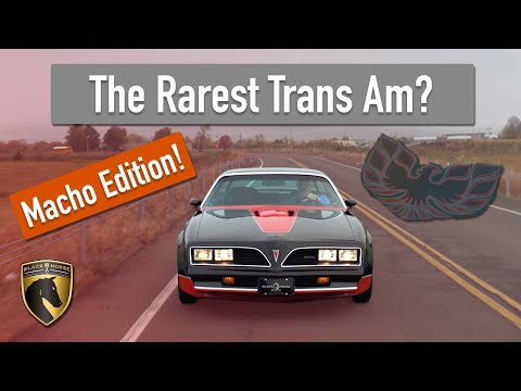 1978 Pontiac Firebird Trans Am WS6 (CC-1296901) for sale in BRIDGEPORT, Connecticut