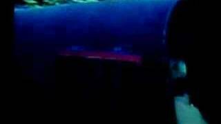 Negativland- "U2" video excerpt