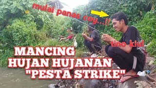 Download lagu MANCING hujan hujanan dapat pesta strike waktu hujan reda... pemancing mulai memanas walaupun basah mp3 Download lagu MANCING hujan hujanan dapat pesta strike waktu hujan reda... pemancing mulai memanas walaupun basah mp3