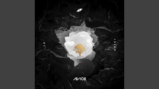 So Much Better (Avicii Remix)