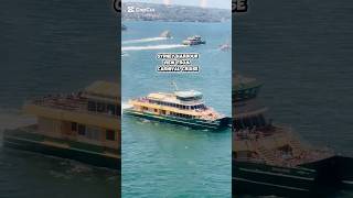 Sydney Harbour, view from Carnival Cruise #carnivalcruise #travel #travelvlog #cruiseship #splendor