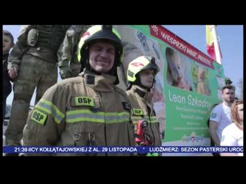 Obrazek poglądowy filmu YouTube