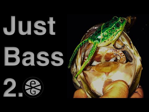 Just Bass Fishing 2 - with EGVV Outdoors