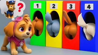 Download lagu ¡La decisión de Skye! ¿Dónde está Chase? Por favor, vuelve conmigo - PAw PAtrol en Español | Rainbow mp3