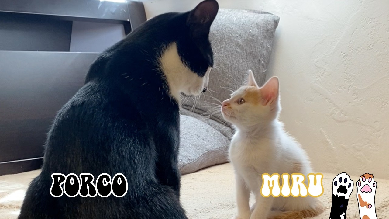 3月の毎日投稿、当たりだけ残したらこうなった