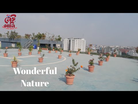 Wonderful Nature || Happy New Year 2k24 || Rasel New Id || New Short Video 2023