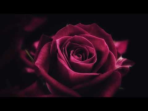 Double you - Send away the rain tradução