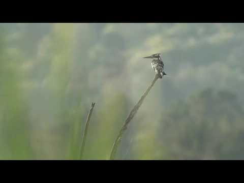 Garden Route in South Africa