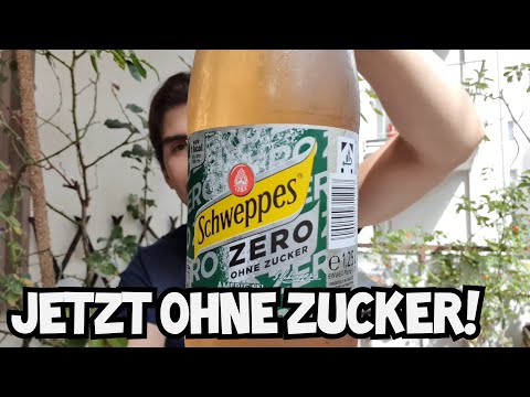 Schweppes Ginger Ale ZERO SUGAR | Warum hat das so lange gedauert?!