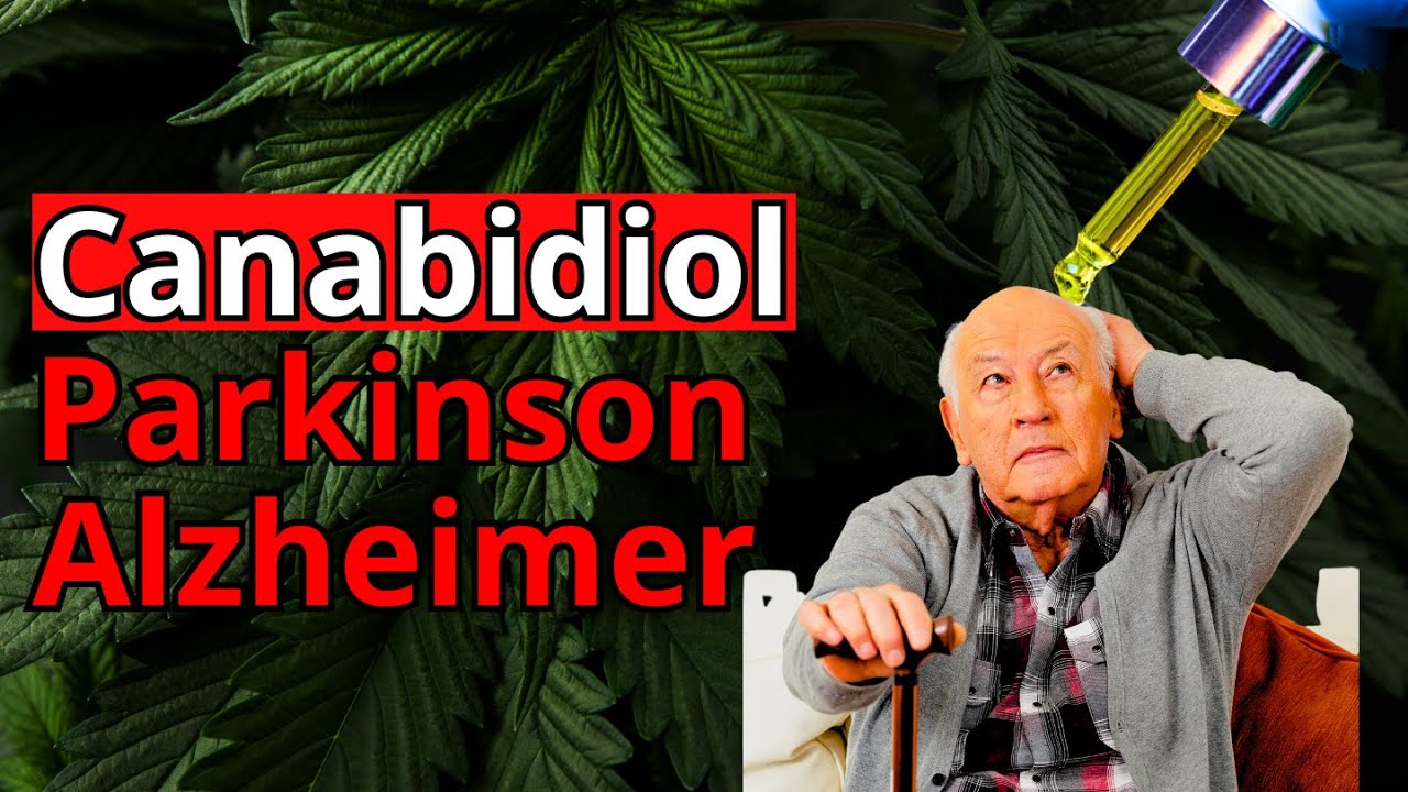 Lucas Motta Fernandes-5