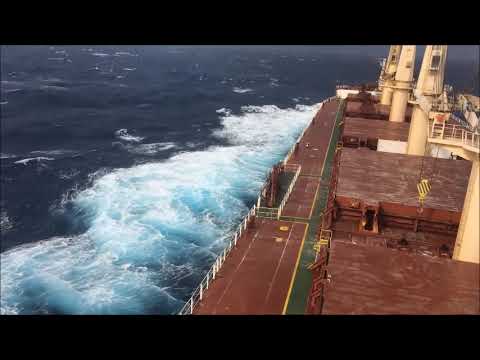 YOUNG MASTER - VDIGAI LEVELA