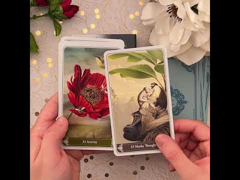 Cartes Kipper Divination 36Pcs Christephania Kipper Jogos De Cartas