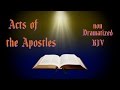 Acts of the Apostles KJV Audio Bible with Text