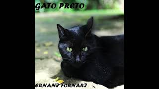Gato Preto Music Video