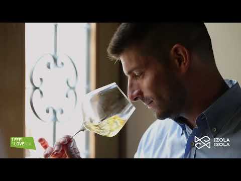 Tastes of Izola - Zaro Wines