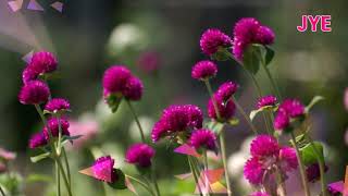 김보형 - Our Story