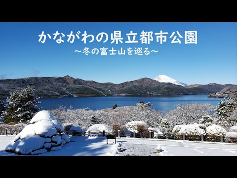 かながわの県立都市公園～冬の富士山を巡る～