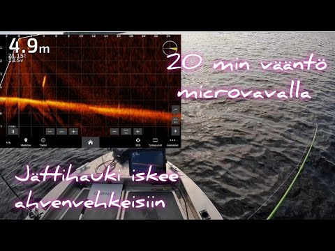JÄTTIHAUKI LYÖ AHVENJIGIIN - MITEN KÄY MICROVÄLINEILLÄ?