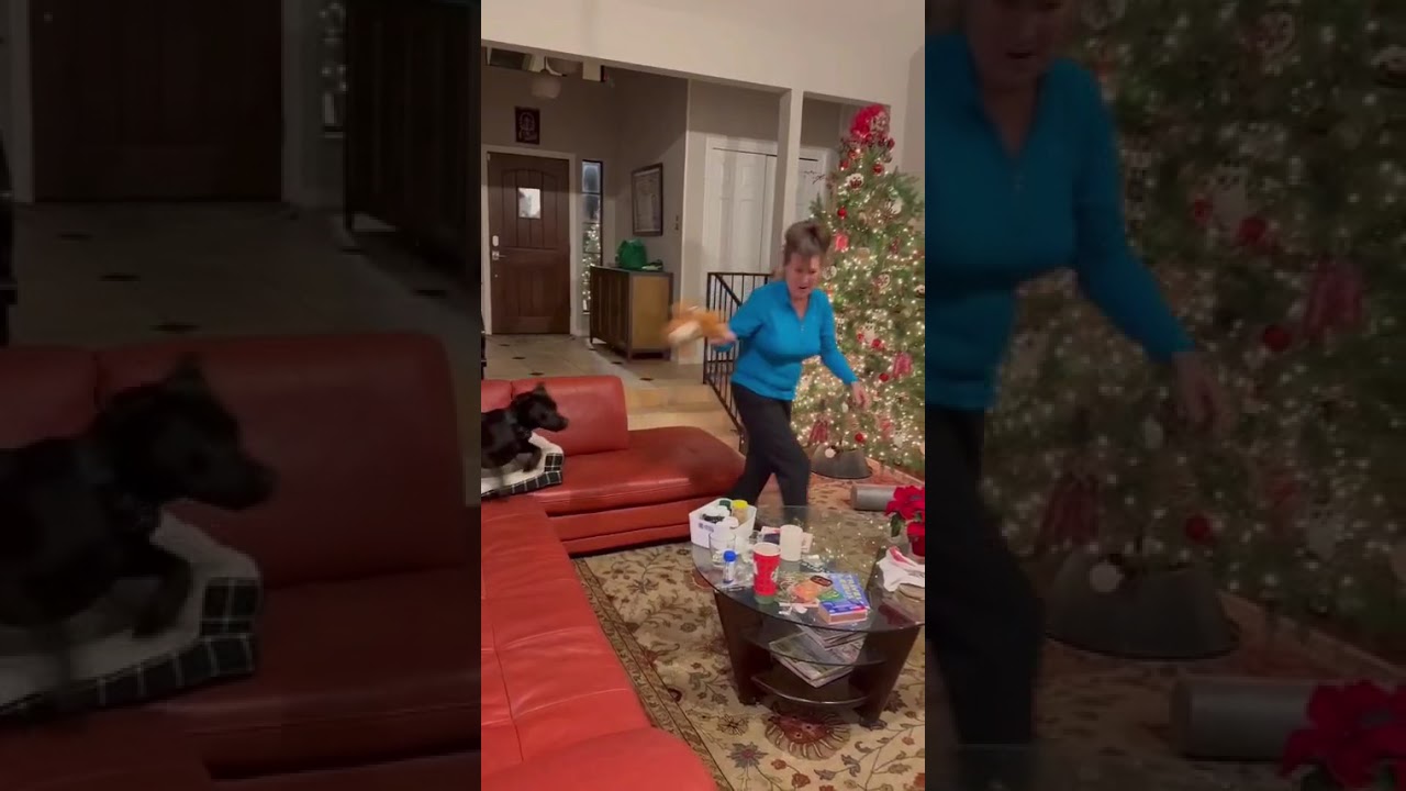 Enlarge Pepper, a Adoptable mixed breed in Austin, TX video 2/6