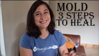 Mold sickness - 3 steps to get better