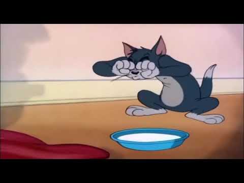 Vídeo Tom e Jerry para brincar