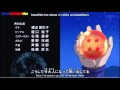 Dragon Ball Super Ending 2 Starring Star HD Lyrics