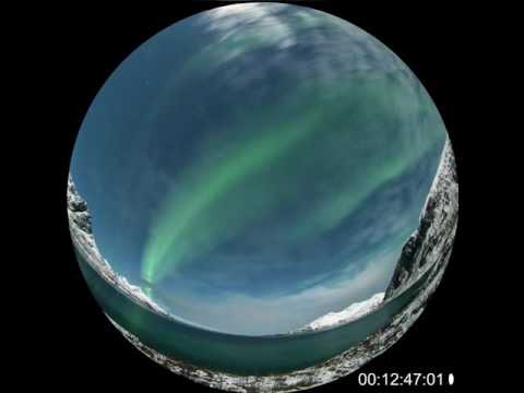 Life Under The Arctic Sky /AFF 2016