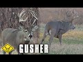 GUSHER 8 5yr Old Buck At 20 Yards Graphic Warning