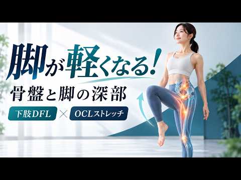 下肢DFLのOCLストレッチの動画サムネイル