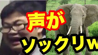 ゲームのカード落としちゃった 象の鳴き声にソックリww プロの編集 أغاني Mp3 مجانا ゲームのカード落としちゃった 象の鳴き声にソックリww プロの編集 أغاني Mp3 مجانا