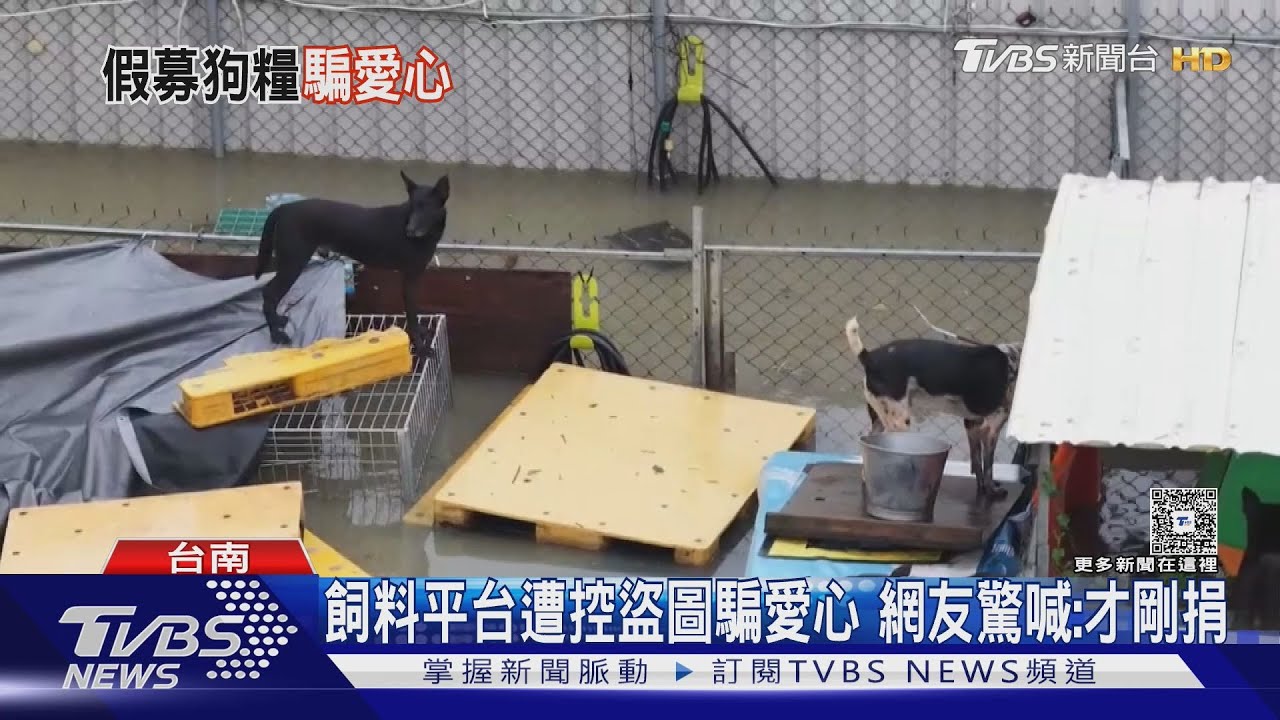 遭控盜圖騙愛心!平台駁斥詐騙無用 社會局抓包非勸募團體
