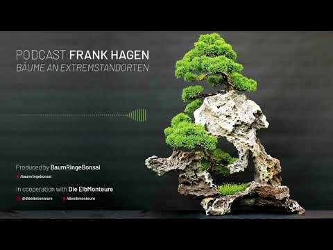 Podcast Vol. 2: Frank Hagen über Bäume an Extremstandorten