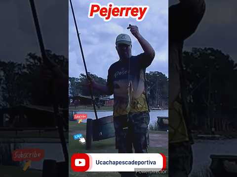 Pesca Pejerrey #pescar #pesca #viral #pejerrey #matungo #cordoba #ucacha #laguna #canals #2023