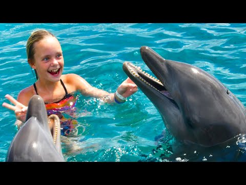 We Play with Dolphins on a Tropical Island! Kids Fun TV