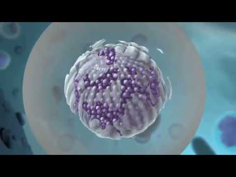 Encicarb Elemental Iron 100mg injection