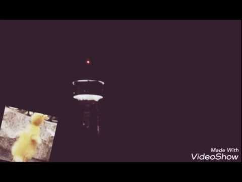 Rap 2016 (żabson-cypis-filipek-komil)