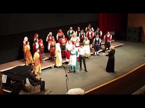 Kalamata 2017 - "Eptachordi Lyre" of Saint Efthimios (Greece)