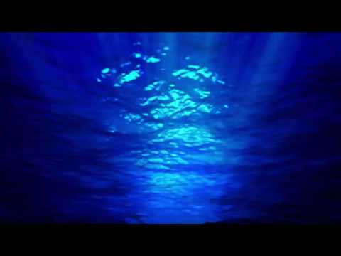 Thor Rixon - puddles (ft. Itai Hakim)