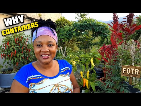 Discover the Benefits of Container Gardening for Your Space