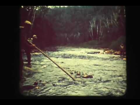 Franquelin, Qc. - La drave