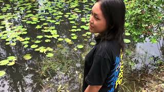 Download lagu Legenda asal usul cikaputrian, Tugas Seni Budaya SMA DONBOSCO SANGGAU mp3