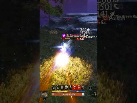 😱This PvP Bruiser Build is INSANE in New World!😱