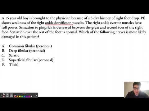 USMLE Question of the Day 46: Nerve Injury Mnemonics