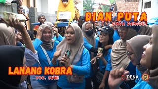 Download lagu LANANG KOBRA Voc. SUMI || Singa Dangdut DIAN PUTRA || Waladin,16112024 mp3