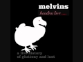 The Melvins - Honey Bucket Live 